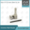 DLLA155P1030 Denso Common Rail Nozzle For Injectors 095000-956X
