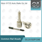 DLLA153P1246 Bosch Common Nozzles  For  Injectors 0445110137/138/163