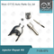 7135-573 Delphi Common Rail Injector Kits for common rail injectors 28229873, 33800-4A710