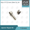 7135-646 Delphi Injector Repair Kit For Injector 28232251 / R03101D / R05102D