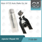 7135-581 Delphi Injector Repair Kit For R00101D PSA / FORD DW10C