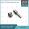 7135-701 Delphi Injector Repair Kit For Injectors R00001D