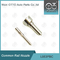 L053PBC Delphi Nozzle For Common Rail Injectors BEBJ1A00001 1660160 1742535