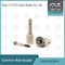 F00VX30041 Bosch Piezo Nozzle For Injectors 0445116024 / 986435394