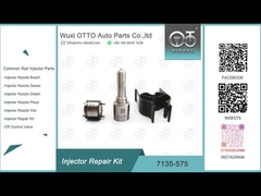 7135-575 Delphi Injector Repair Kit For 28231462 VW 1.2L Nozzle L363PRD