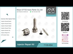 7135-654 Delphi Injector Repair Kit R00501Z With Nozzle L456PRD
