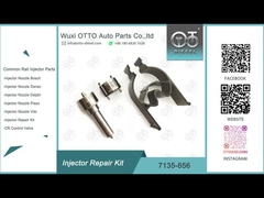 7135-656 Delphi Injector Repair Kit For R00504Z With Nozzle L135PBD