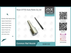 G3S123 Denso Common Rail Nozzle For Injectors 295050-2420 8-97435554-0 8-98317930-0
