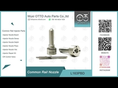 L163PBD Delphi Common Rail Nozzle For  Injectors EJBR03301D