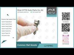 L216PBC Delphi Common Rail Nozzle For Injectors BEBE4D08001/24002/16001