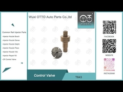 T643 Common Rail Control Valve Applied 0445110819/818/939