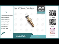 T613 Bosch Common Rail Control Valve Applied 0445110551