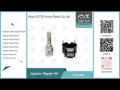 Delphi Injector Repair Kit 7135-854 for Nozzle E540 and Valve 28602945