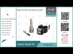 See Why Choose Injector Repair Kit 7135-575 for VW 1.2L Nozzle L363PRD