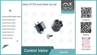 Common Rail Injector Control Valve 28653428 for Delphi Diesel Injector