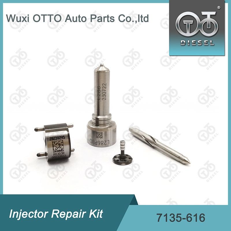 Delphi Automotive 7135 – 646 Kit di valvola Iniettore