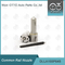 DLLA155P848 Denso Common Rail Nozzle For Injectors 095000-635# / 6811/539#