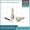 DSLA154P1320(0433175395) Bosch Common Rail Nozzle For Injectors 0445110170/189 etc.