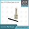 DLLA156P1367 Common Rail Nozzle For Injectors 0 445110185/283
