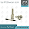 DLLA155P1674 Bosch Common Rail Nozzle For Injectors 0445110291/447