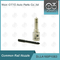 DLLA160P1063 Bosch Common Rail Nozzle For Injectors 0445110122/080/131