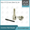 DLLA160P1063 Bosch Common Rail Nozzle For Injectors 0445110122/080/131