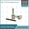DSLA143P1058 Bosch Common Rail  Nozzle For Injectors 0 445120018/113