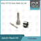 7135-646 Delphi Injector Repair Kit For Injector 28232251/ R03101D/R05102D