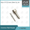 L193PBC Delphi Common Rail Nozzle For Injectors BEBE4D08004 / 4D24004 / 4D24104