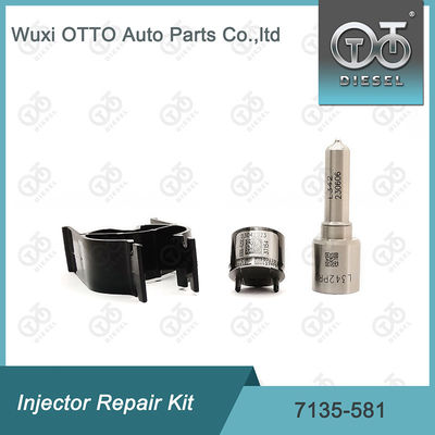  7135-581 Injector Repair Kit for R00101D PSA FORD DW10C