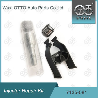  7135-581 Injector Repair Kit for R00101D PSA FORD DW10C