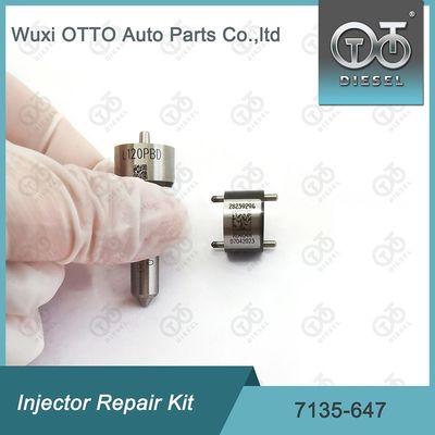  Injector Repair Kit 7135-647 for 28232248 with L120PBD Nozzle