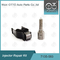7135-583 Delphi Injector Repair Kit For R00301D SSANGYONG D20DTF Nozzle L341PRD
