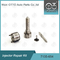 7135-654 Delphi Injector Repair Kit R00501Z With Nozzle L456PRD