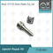 7135-661 Delphi Injector Repair Kit For Injectors R03701D