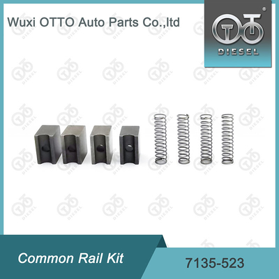 4pcs Common Rail Repair Kit 7135-523 High Speed Steel