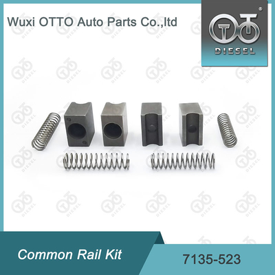 4pcs Common Rail Repair Kit 7135-523 High Speed Steel