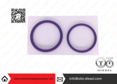 20440388  /  Injector Repair Kits Common Rail Injector Parts
