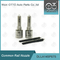 DLLA145P875 Denso Common Rail Nozzle For Injectors 1465A054/1465A307 095000-576# / 811#  etc.
