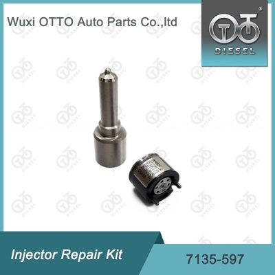 7135-597 Delphi Injector Repair Kit Nozzle-CVA Kit Nozzle-Valve Kit