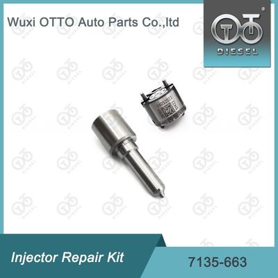 7135-663  Injector Repair Kit Nozzle-Valve Kit Nozzle-CVA Kit