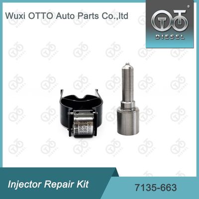 7135-663  Injector Repair Kit Nozzle-Valve Kit Nozzle-CVA Kit