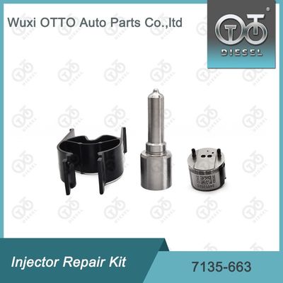 7135-663  Injector Repair Kit Nozzle-Valve Kit Nozzle-CVA Kit