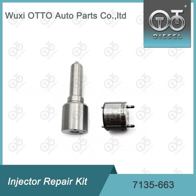 7135-663 Delphi Injector Repair Kit Nozzle-Valve Kit Nozzle-CVA Kit