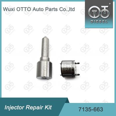 7135-663  Injector Repair Kit Nozzle-Valve Kit Nozzle-CVA Kit