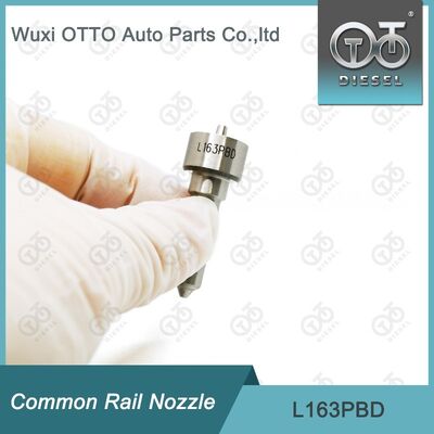 L163PBD Common Rail Injector Nozzle For  Injectors EJBR03301D