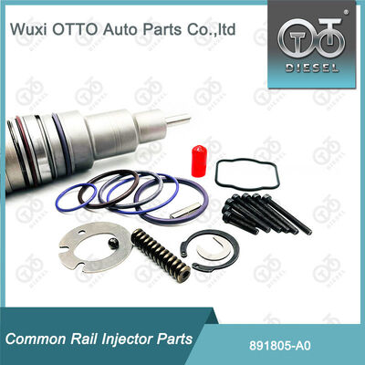 891805-A0 Fuel Injector Repair Kits 891804-M11 for  A0 Series Injector
