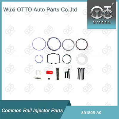 891805-A0 Fuel Injector Repair Kits 891804-M11 for  A0 Series Injector