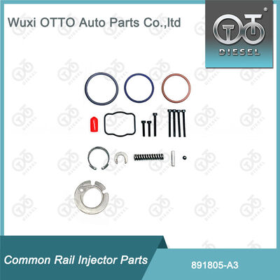 Diesel Fuel Injector Repair Kit 891805-A3 For Delphi A3 Series Injector