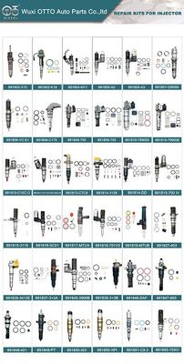 Diesel Fuel Injector Repair Kit 891805-A3 For Delphi A3 Series Injector